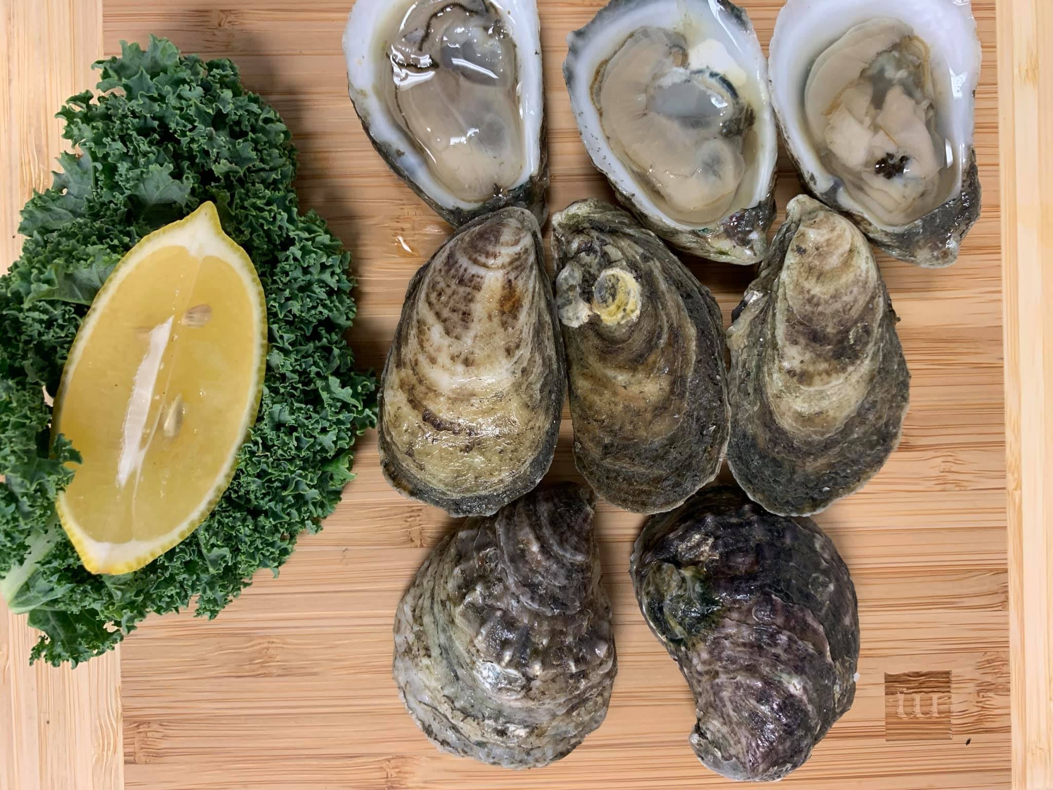 Gulf Oysters – Pelican Seafood Company