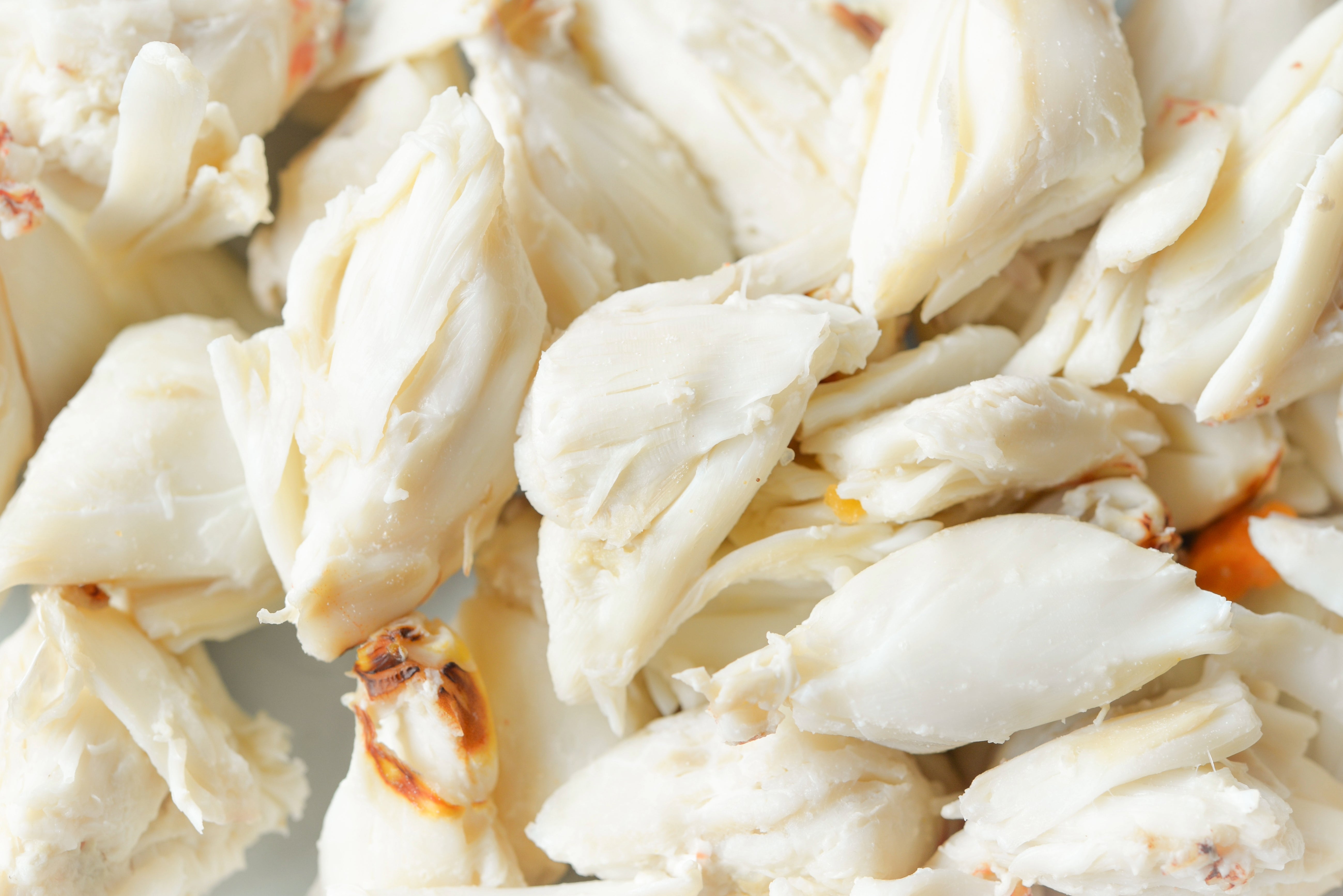 Blue Crab Jumbo Lump Meat, Fresh, 1 Pint – Pelican Seafood Company